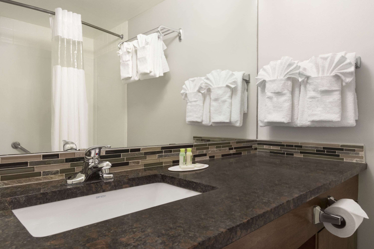 Bathroom 4, Travelodge by Wyndham Calgary South, Division No. 6