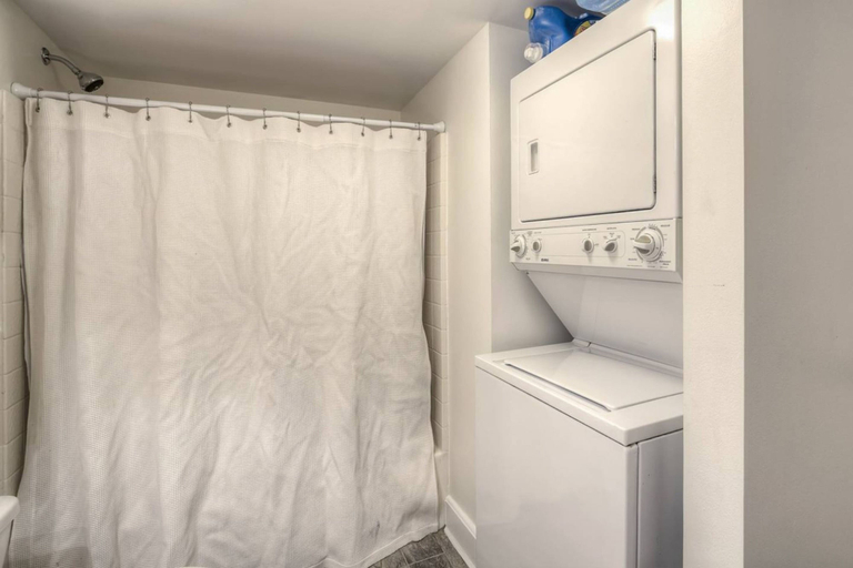 Bathroom 2, Stunning Modern Historic Home, Denver
