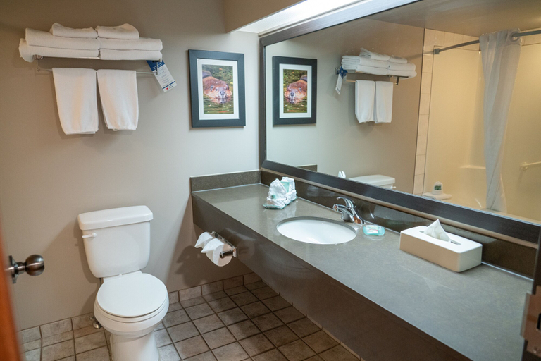 Bathroom 4, Pocaterra Inn and Waterslide, Division No. 15