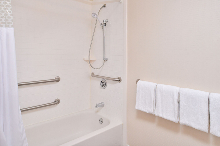 Bathroom 4, Hampton Inn Daytona/Ormond Beach, Volusia
