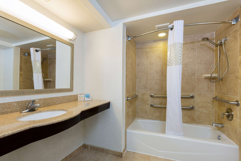 Bathroom 4, Hampton Inn Houston-Near The Galleria, Houston