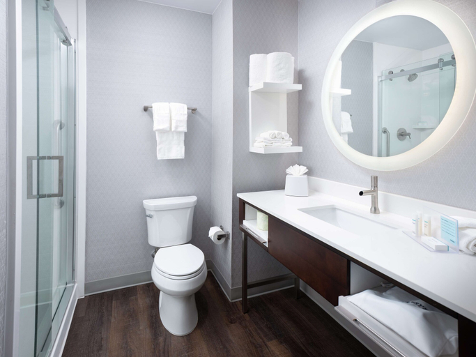 Bathroom 4, Hampton Inn & Suites Atlanta Decatur/Emory, DeKalb