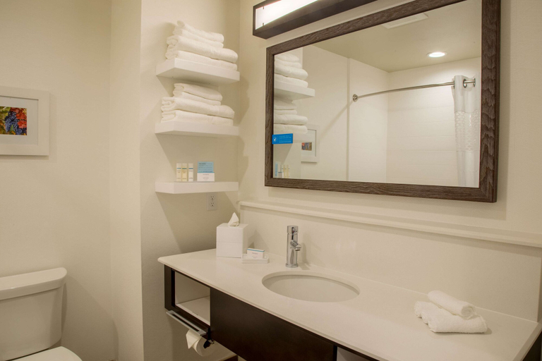 Bathroom 3, Hampton Inn & Suites Murrieta Temecula, Riverside