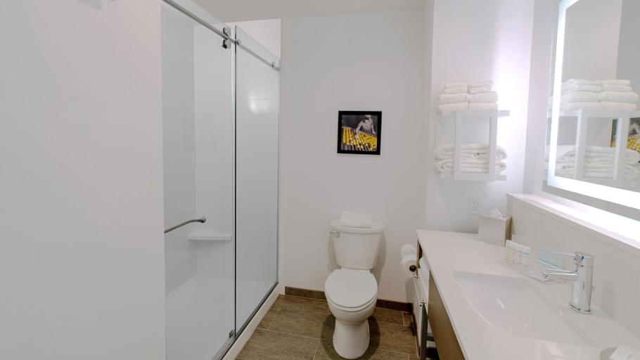 Bathroom 4, Hampton Inn Riverside Downtown, Riverside