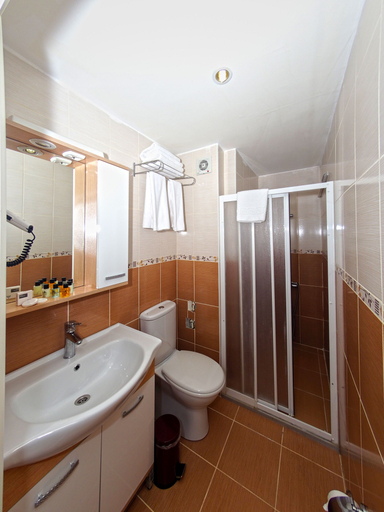 Bathroom 5, Le Safran Palace, Fatih