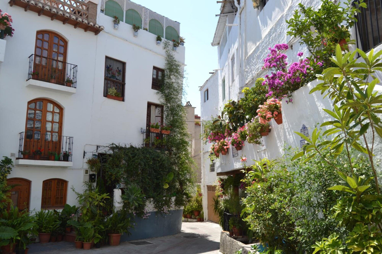 Exterior & Views 2, Hotel Central, Granada