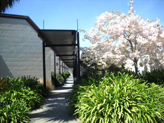Others 4, Gothic Heights Motel, Christchurch
