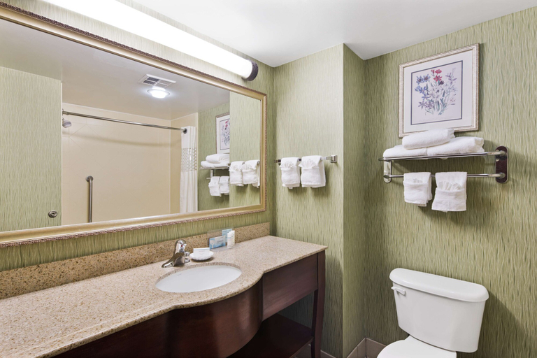 Bathroom 4, Hampton Inn Hinesville, Liberty