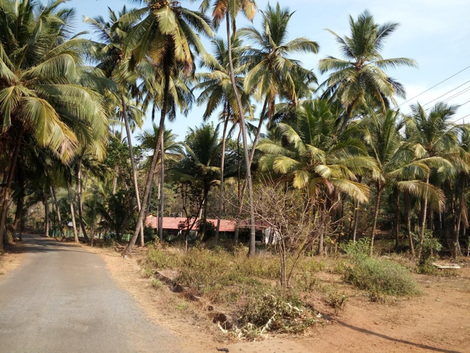 Others 4, Raikar Guest House, South Goa