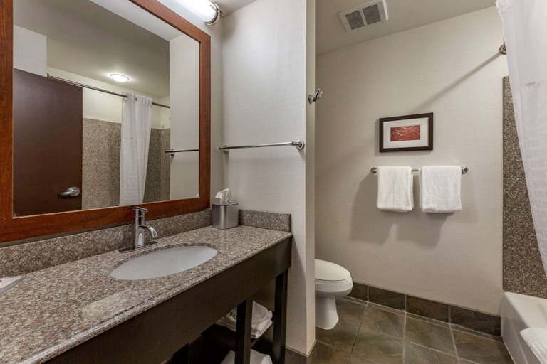 Bathroom 5, Comfort Suites Perrysburg - Toledo South, Wood