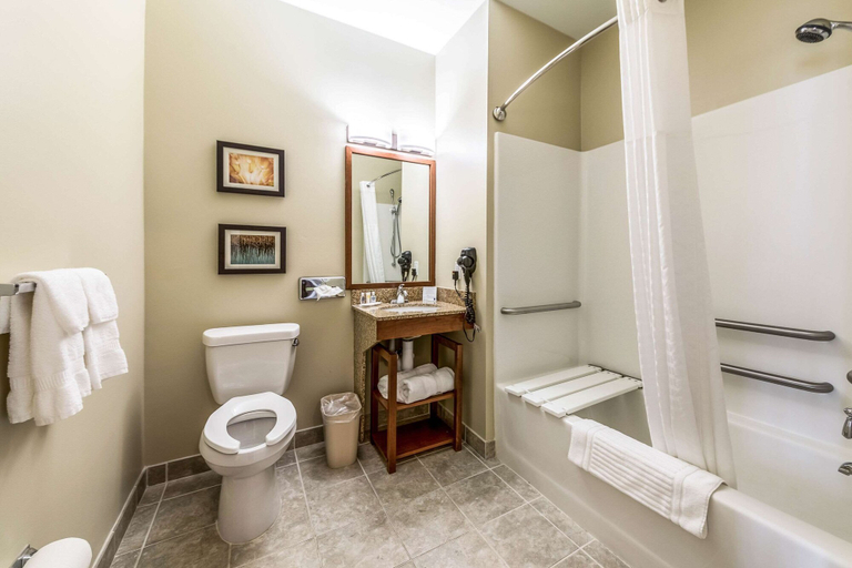 Bathroom 4, Comfort Inn & Suites Barnesville - Frackville, Schuylkill