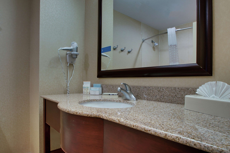 Bathroom 4, Hampton Inn & Suites Denver Littleton, Jefferson