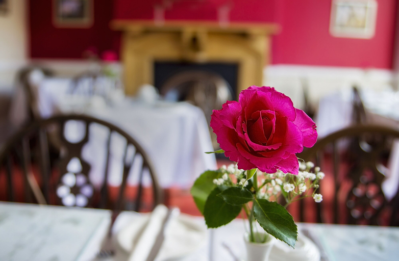 Food & Drinks 4, St Raphael Guest House, York