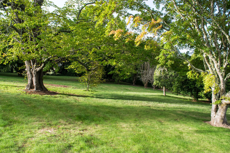 Others 5, Hillview Heritage Estate, Wingecarribee