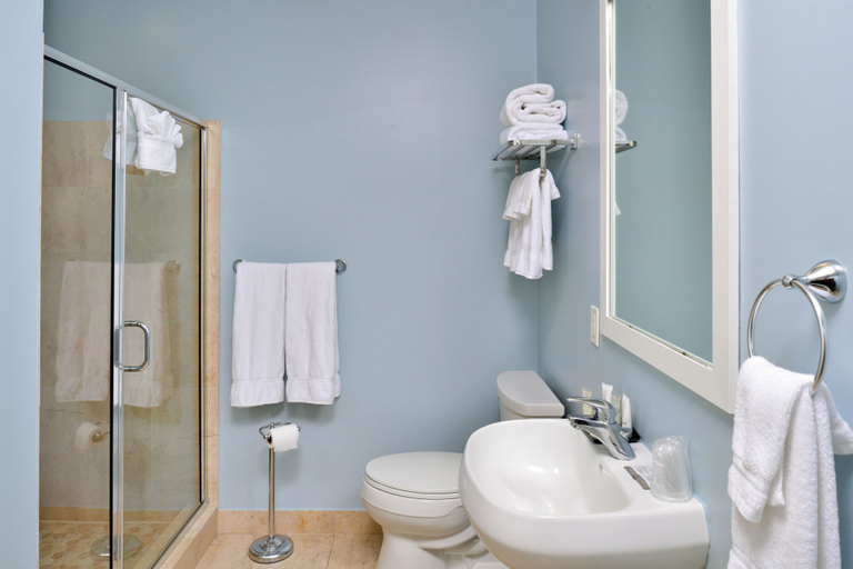 Bathroom 4, Grand Eastonian Hotel & Suites, Northampton