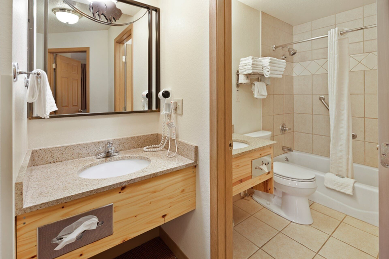Bathroom 4, Black Hills Luxury Suites, Pennington