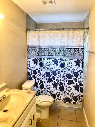 Bathroom 3, The Ugly House, Houston