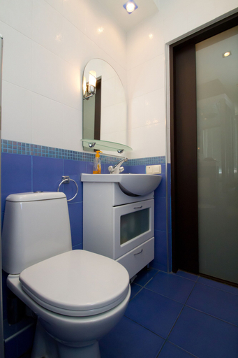 Bathroom 3, Alma Apartments, Shevchenkivs'kyi