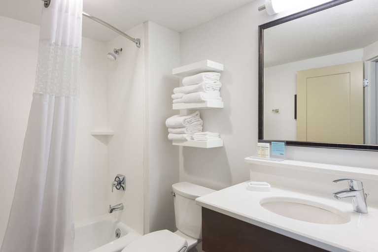 Bathroom 4, Hampton Inn Columbia, Boone