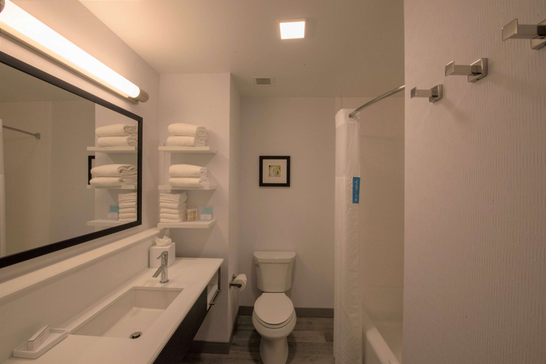 Bathroom 4, Hampton Inn & Suites Irvine-Orange County Airport, Orange