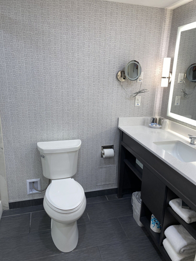 Bathroom 4, Clayton Plaza Hotel, Saint Louis
