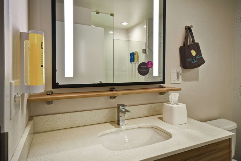 Bathroom 4, Tru By Hilton Cincinnati Airport South Florence, Boone