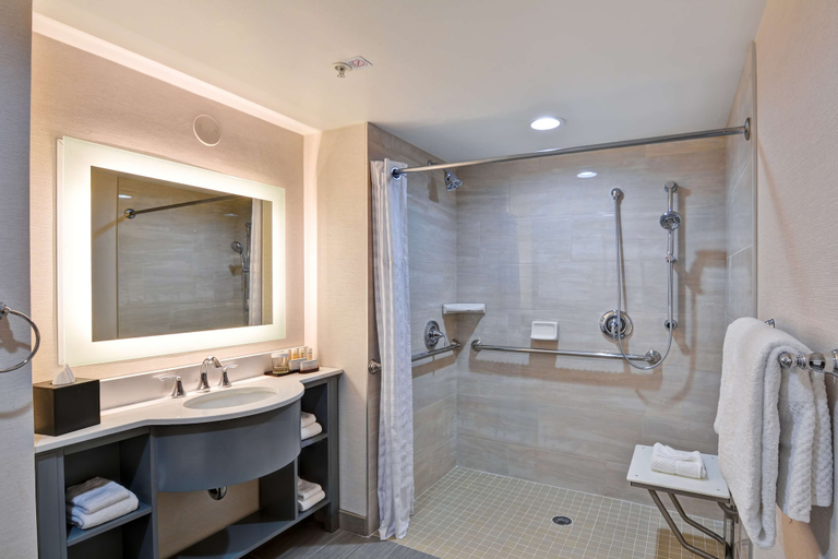 Bathroom 4, Embassy Suites by Hilton Orlando Downtown, Orange