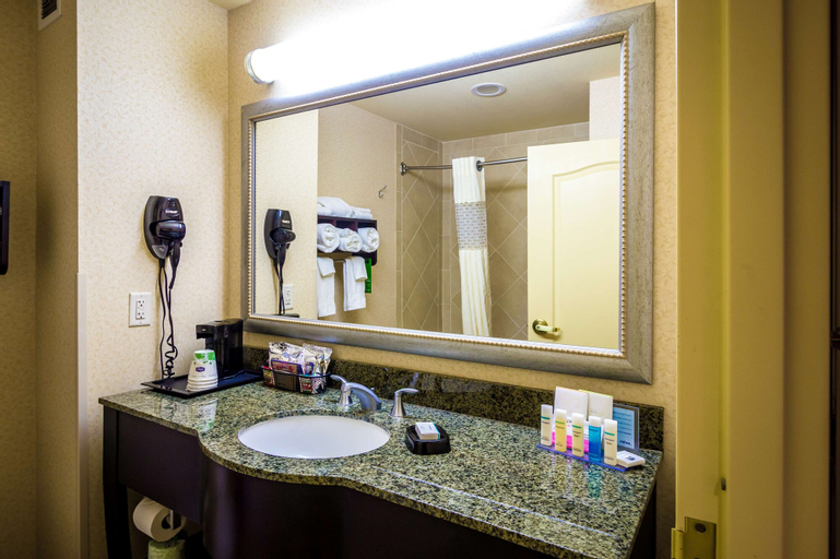 Bedroom 4, Hampton Inn & Suites Natchez, Adams