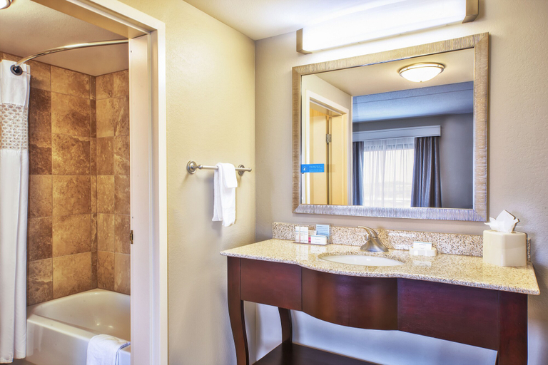 Bathroom 4, Hampton Inn & Suites Madison-West, Dane