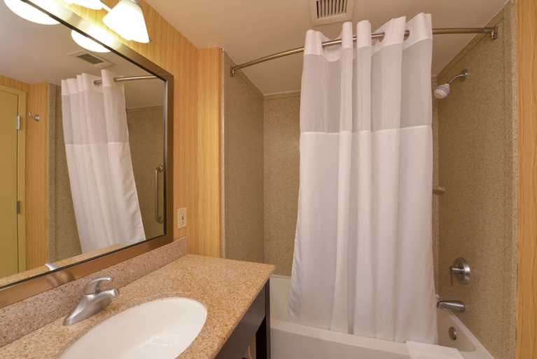 Bathroom 5, Hampton Inn Frederick , Frederick