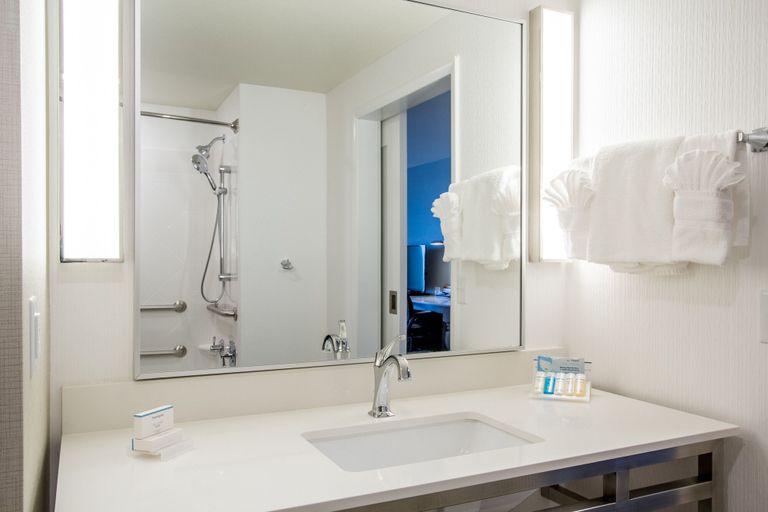 Bathroom 4, Hilton Garden Inn Salina, Saline