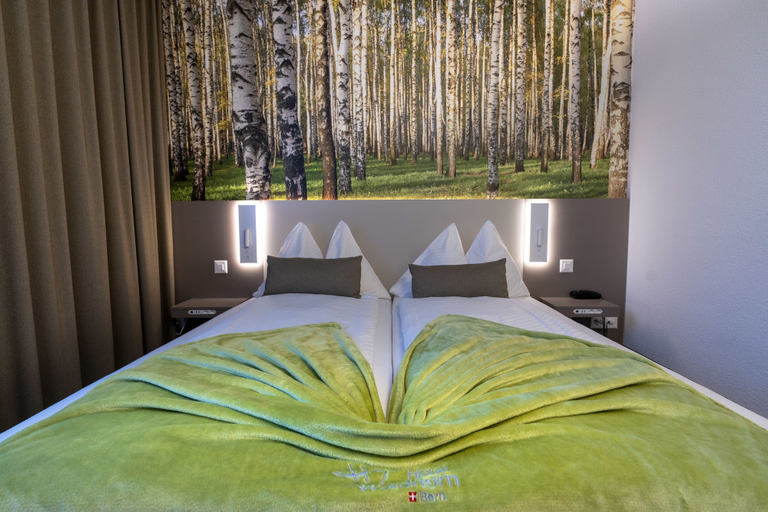Bedroom 3, Hotel Waldhorn, Bern