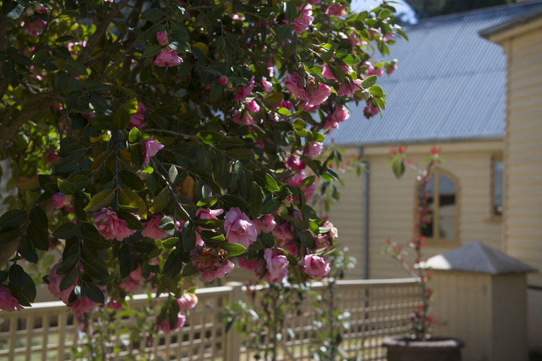 Exterior & Views 2, Hillview Heritage Estate, Wingecarribee