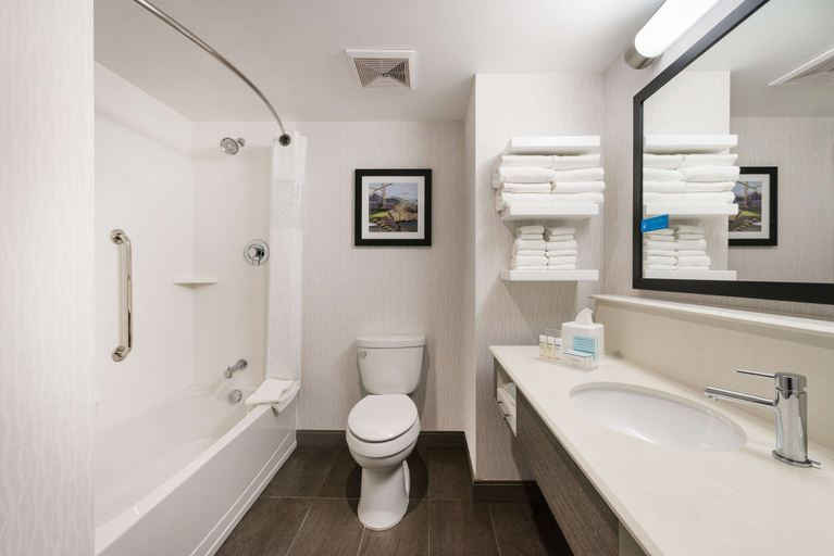 Bathroom 4, Hampton Inn & Suites Miami Wynwood Design District, Miami-Dade