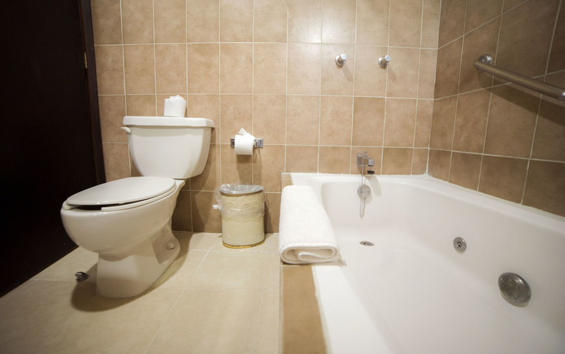 Bathroom 4, Hotel Grand Marlon, Othón P. Blanco