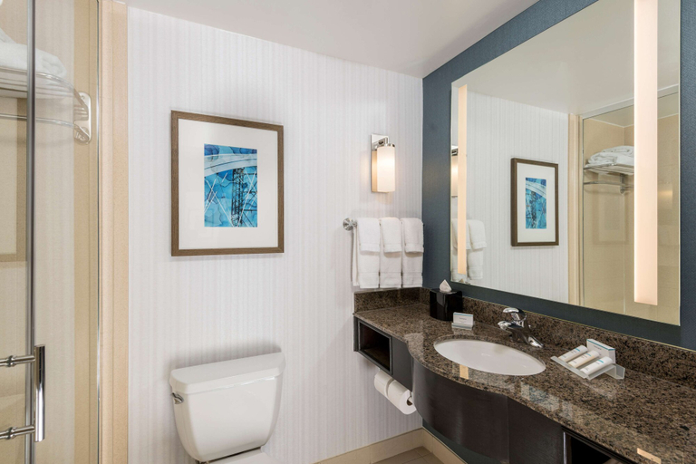 Bathroom 4, Hilton Garden Inn Silver Spring White Oak, Montgomery