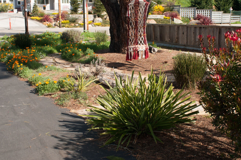 Others 4, Cambria Palms Motel, San Luis Obispo