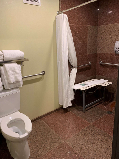 Bathroom 4, Best Western Snowcap Lodge, Kittitas