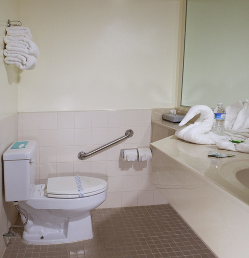 Bathroom 3, Hotel La Villa de San Quintin, Ensenada
