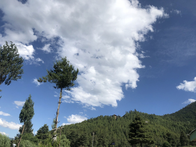 Others 4, The Ugyen, Tsento