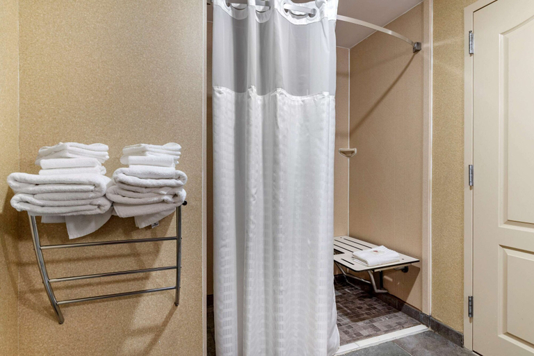 Bathroom 4, Comfort Suites Florence I-95, Florence