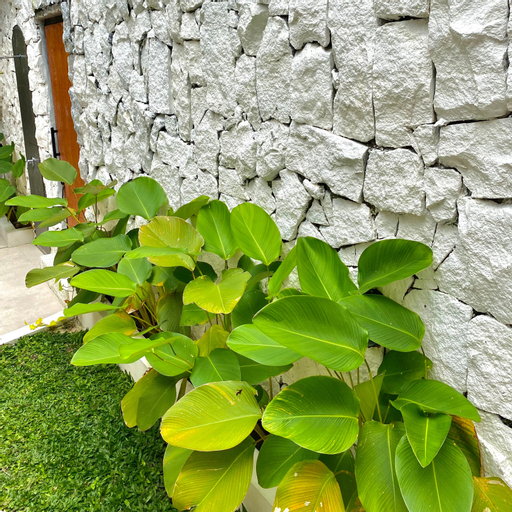 Exterior & Views 5, Sampai Villa Ruang Tepi, Sleman