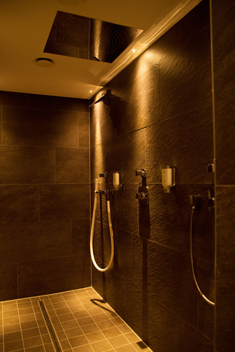 Bathroom 4, Das Mühlbach - Thermal Retreat & Wellness Resort, Passau