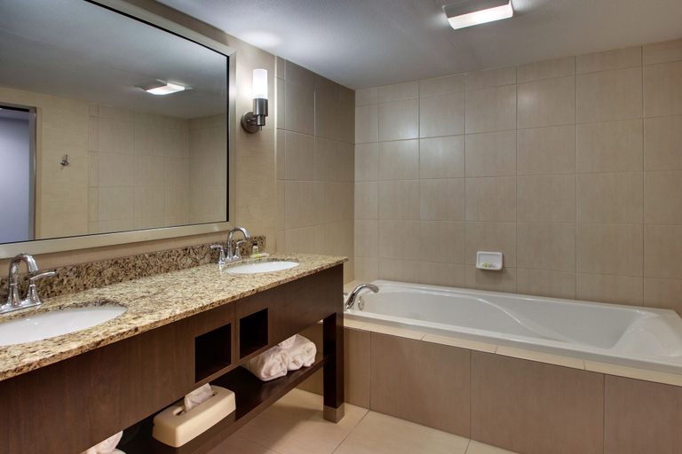 Bathroom 2, Holiday Inn Express BALTIMORE-BWI AIRPORT WEST by IHG, Anne Arundel