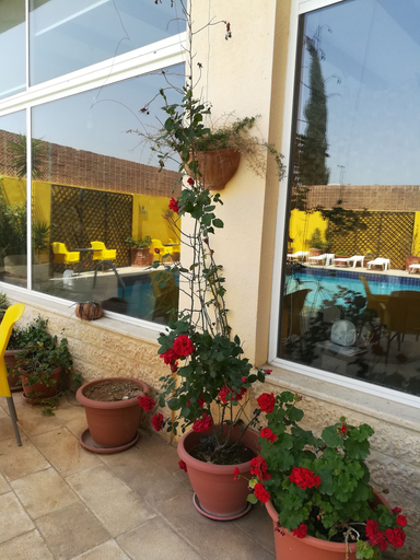 Others 5, Mariam Hotel, Madaba