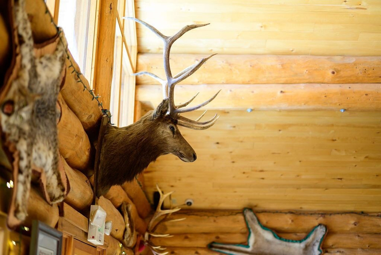 Others 5, Lochsa Lodge Resort, Idaho