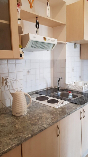 Others 3, Ksenia Apartment, Karlovy Vary