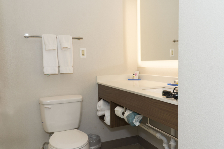 Bathroom 5, Holiday Inn Express & Suites MADISON by IHG, Jefferson