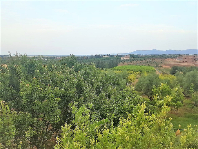 Others 5, Ferme Andalousse, Zouagha-Moulay Yacoub