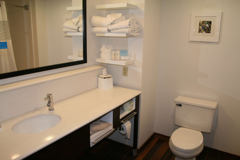Bathroom 4, Hampton Inn Birch Run/Frankenmuth, Saginaw